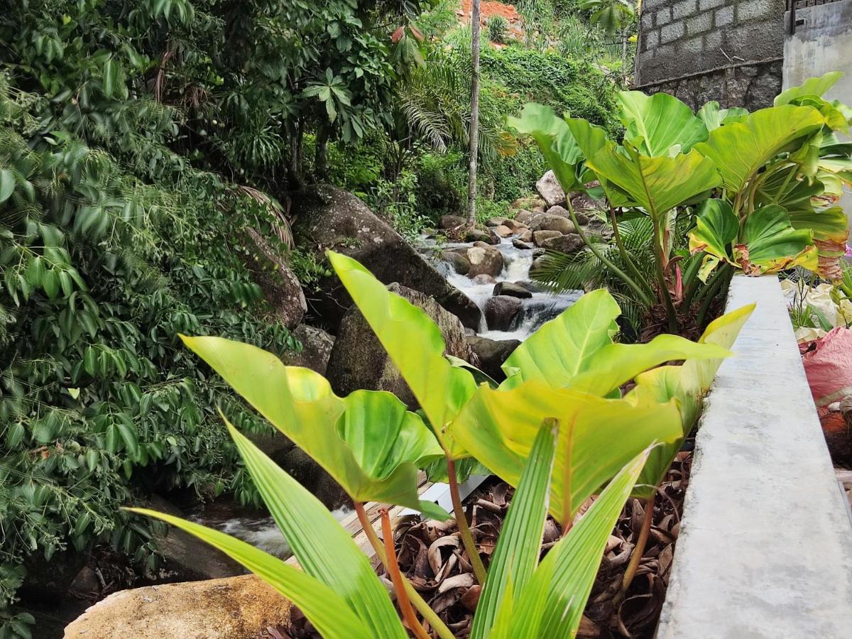 Riverside Mount Simpson - Seychelles Island Beau Vallon  Exterior foto